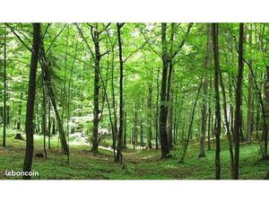 Terrain de loisirs boisé 879 m²