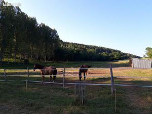 Terrain à louer (prairie)
