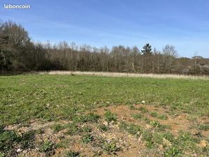 Terrain 965 m² Orvault