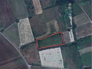 A Louer : Terrain Agricole de 7000 m² à Laudun