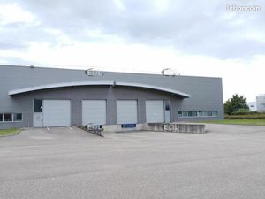 Local bureaux 972 m²