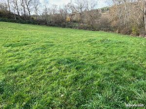 Terrain constructible