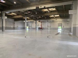 Local industriel 3 993 m²