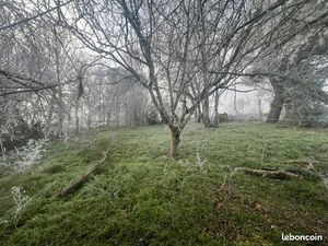 Terrain arboré de 1000m2 avec forage et fosse sceptique a reprendre