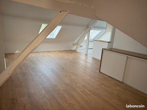 Appartement 55 m2 centre ville