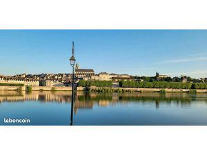 Duplex 2 chambres Blois Vienne