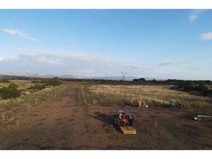 Vente terrain agricole