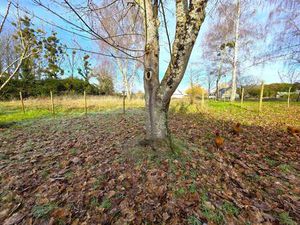 Vente Terrain à Baugé (49150) : à vendre / 1679m² Baugé