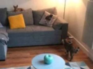 Studio meublé avec parking privé