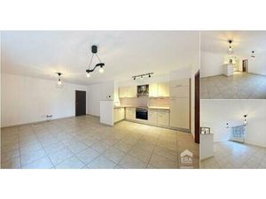 Rez-De-Chaussée à louer à Rue de Steenkerque 2a Soignies (VBD68597)