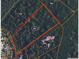 Terrain NC d'1 hectare (10 000m2) à Roquefort les pins