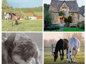 Cherche Maison campagne avec terrain/batiment