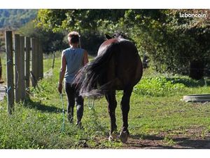 Recherche corps de ferme Eco-lieu