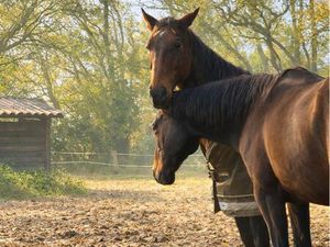 Recherche propriété à louer