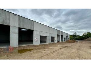 Surface industrielle à louer à Schaapschuur 6 Affligem (RBU96182)