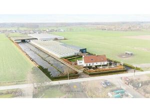 Sierteeltbedrijf met villa  loods en serrecomplex op ± 2 HA te Laarne zonder bedrijfsovern