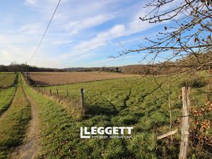 Terrain 6 pièce(s)  CAUSE-DE-CLÉRANS