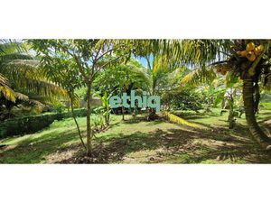 Les Abymes - Joli terrain de 500 m²