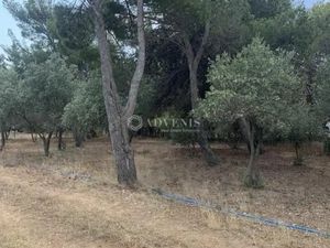 LOCAL COMMERCIAL A VENDRE