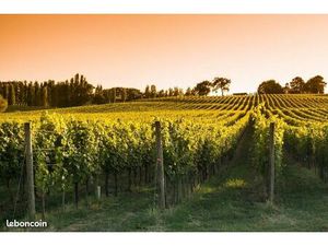 Terrain 790 m² Carignan De Bordeaux