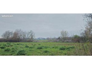 Terrain agricole 49 890 m² Muret