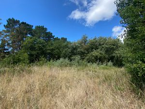 SAINT-HILAIRE-DE-RIEZ - TERRAIN CONSTRUCTIBLE DE 4 200 M2