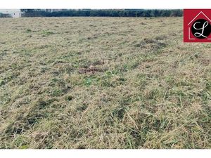 Annonce terrain à vendre