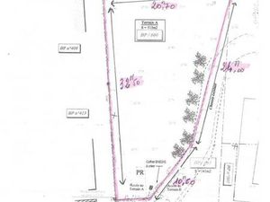 Entraigues-sur-la-Sorgue (84320)