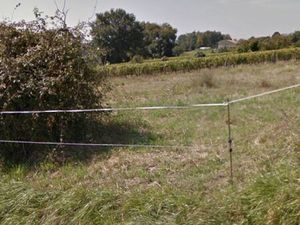 Annonce vente terrain terrain de m2 à Capian (33550) - ParuVendu.fr ref 992784276635