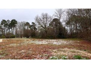 Annonce vente terrain terrain de 1090m2 à Saint-maixant (33490) - ParuVendu.fr ref 9927842
