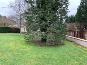 Annonce vente terrain terrain de 550m2 à Virelade (33720) - ParuVendu.fr ref 992784276649