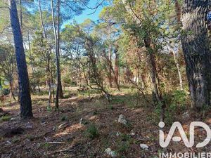 Vente Terrain Piscine à Flayosc (83780) : à vendre Piscine / 2206m² Flayosc