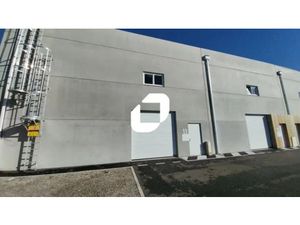 DERNIER LOT DISPONIBLE !