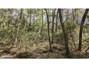 Terrain 7200 m² Entrecasteaux