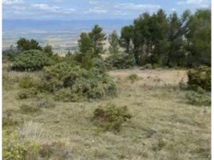 Teraint  agricole de 6310 m²