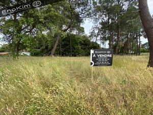 Terrain constructible viabilisé à vendre