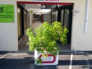 Local commercial à louer