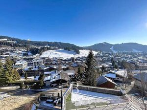 BARNES Portes du Soleil