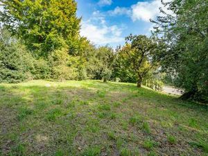 Terrain de 12 ares (50m à rue) avec permis à Vaux-sur-sûre