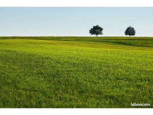 Terrain 1 100 m² – 248 000 – La Mézière (35520)