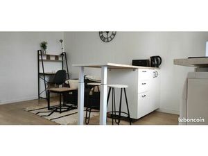 2 pièces rénové plein centre