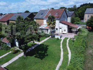 MARTIN COLLETTE - BL AGENTS