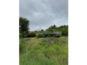 TERRAIN A VENDRE EN MARTINIQUE  Martinique