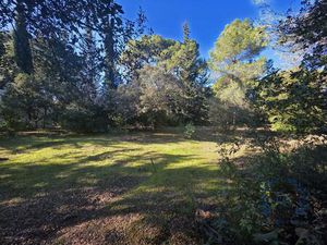 Rare - Terrain Constructible