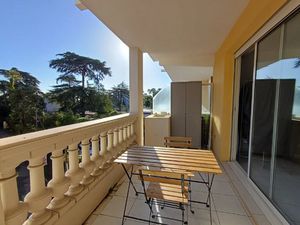 Studio 32m²  terrasse  cave