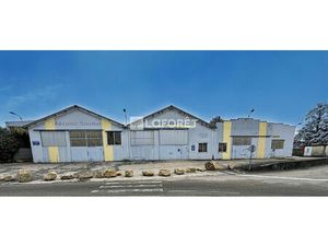 LOCAL PROFESSSIONNEL