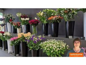 VALLERIAN Isabelle Agent mandataire Optimhome