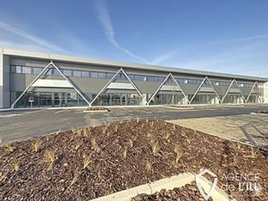 Local d'activité - Colmar