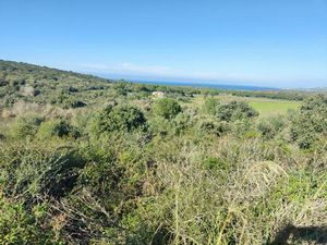 Terrain Agricole à Calvi