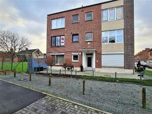 Appartement te huur in Sint-Niklaas met 1 slaapkamer